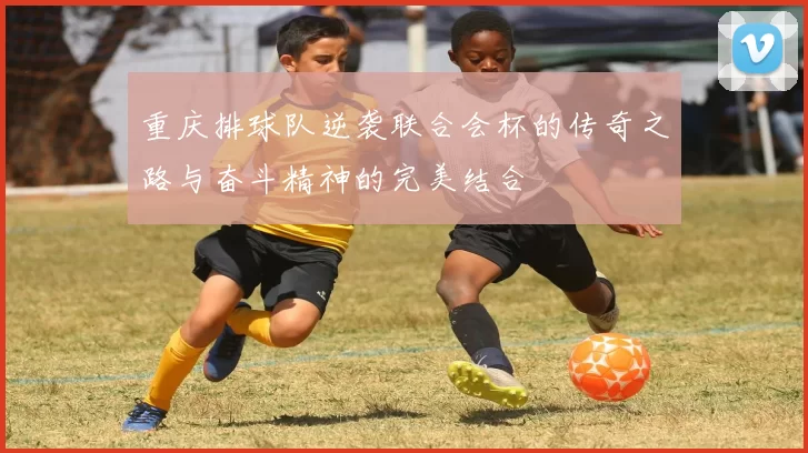重庆排球队逆袭联合会杯的传奇之路与奋斗精神的完美结合