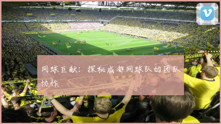 网球巨献：探秘成都网球队的团队协作
