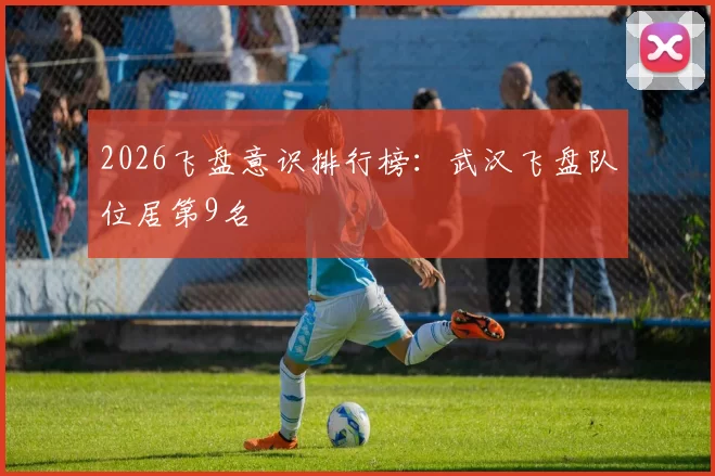 2026飞盘意识排行榜：武汉飞盘队位居第9名