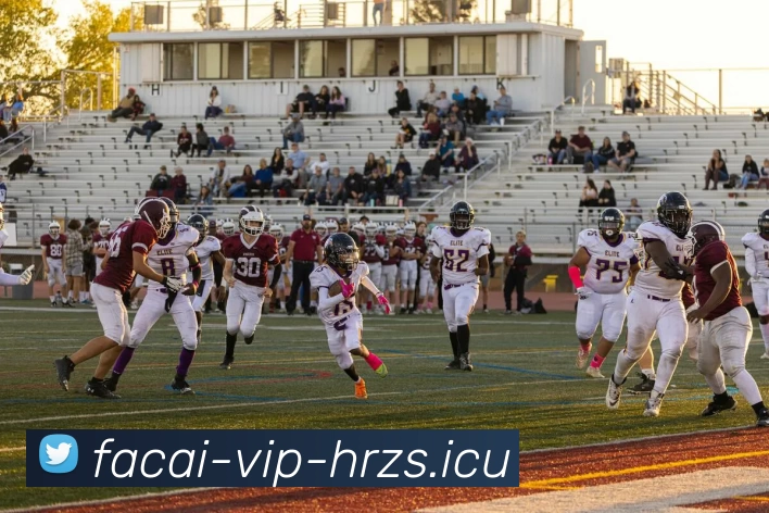 MK体育服务体系